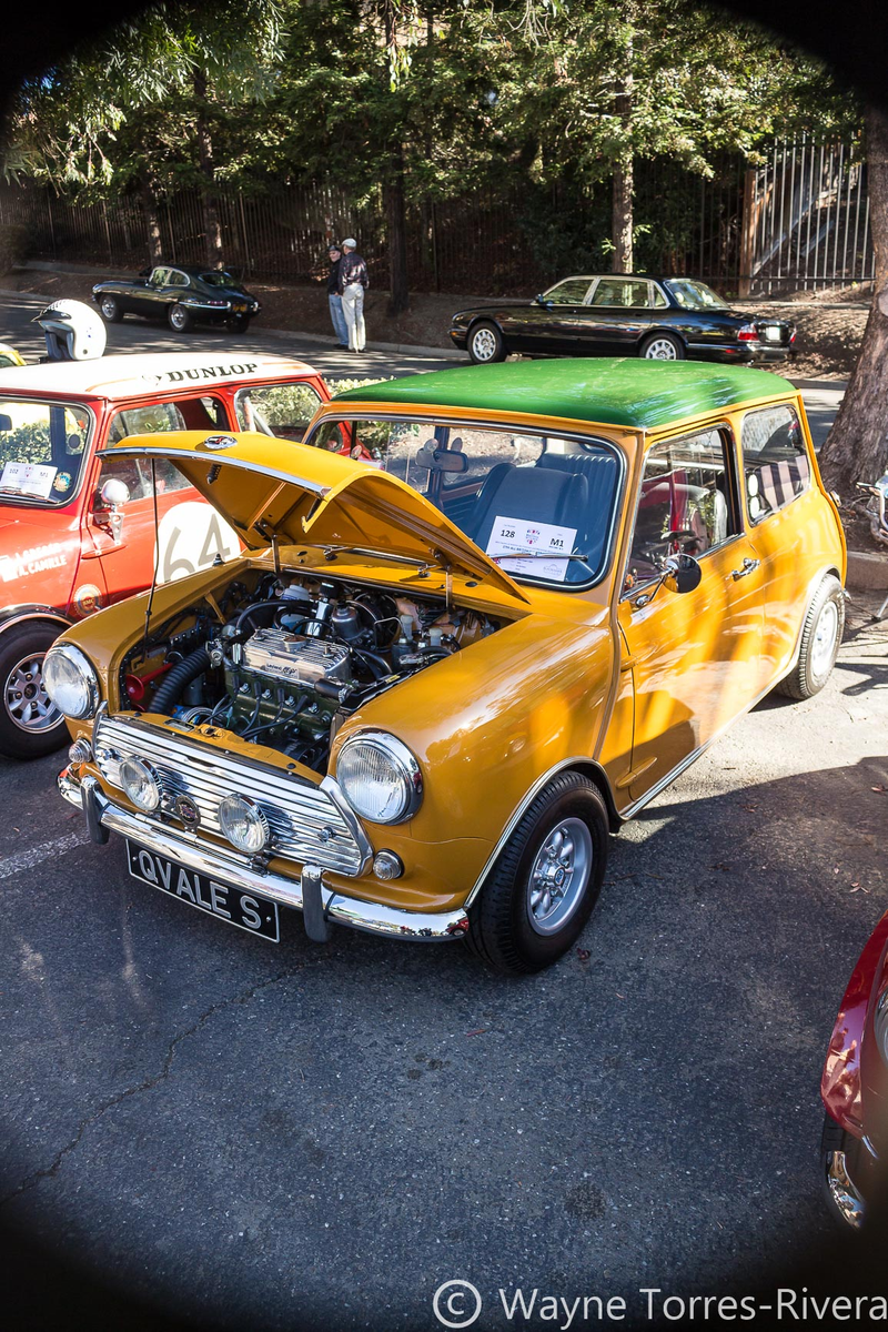 Illustration for article titled Get me some Spotted Dick!: Pictures from the All British Motor Show